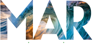 MAR - Movimento, Alinhamento e Renovação